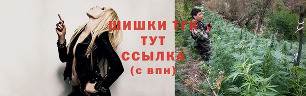 прущие грибы Верхний Тагил